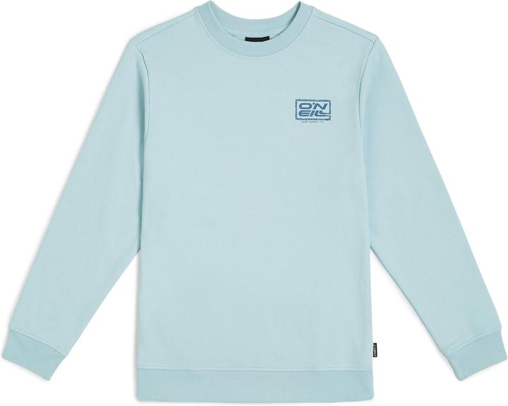 Actual product image O'Neill Logo Crew (164)