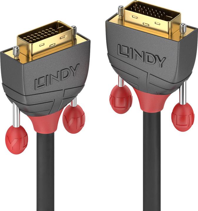 Immagine prodotto Lindy Dvi — Dvi (0.50 m, DVI)