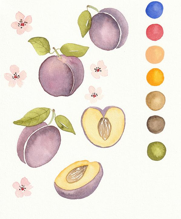 Produktbild Sommerliche Früchte
