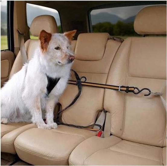 Actual product image Kurgo Car Zip Line & Leash (Dog, Reflectors)