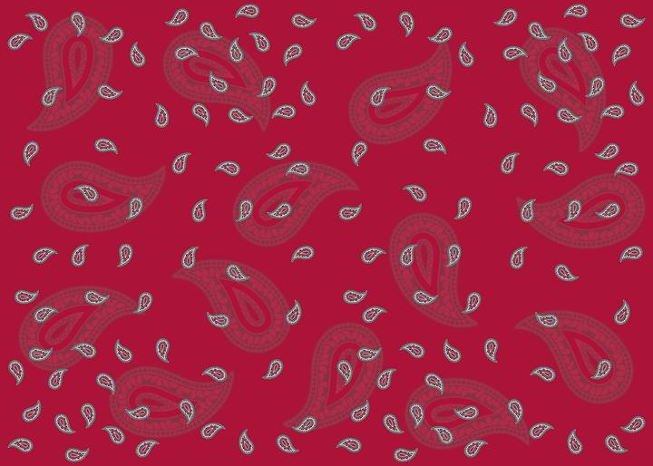 Actual product image Industyle Design Foulard / Scarf in Glarus Paisley Design, red