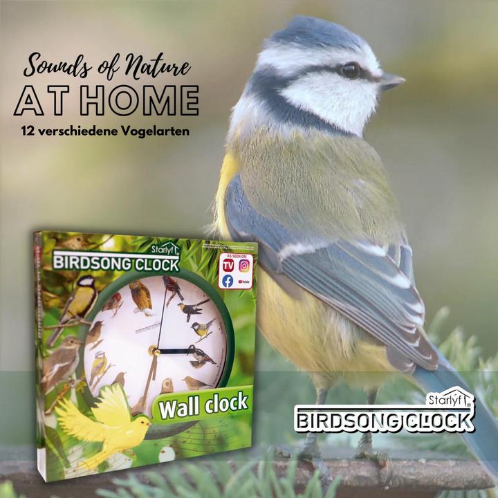 Actual product image Starlyf Birdsong Clock