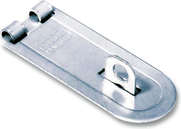 Actual product image Burg Wächter PC 100 (Easily assaulted, 1 pcs.)