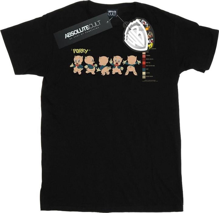 Actual product image Looney Tunes Mens Porky Pig Colour Code T-Shirt (4XL)