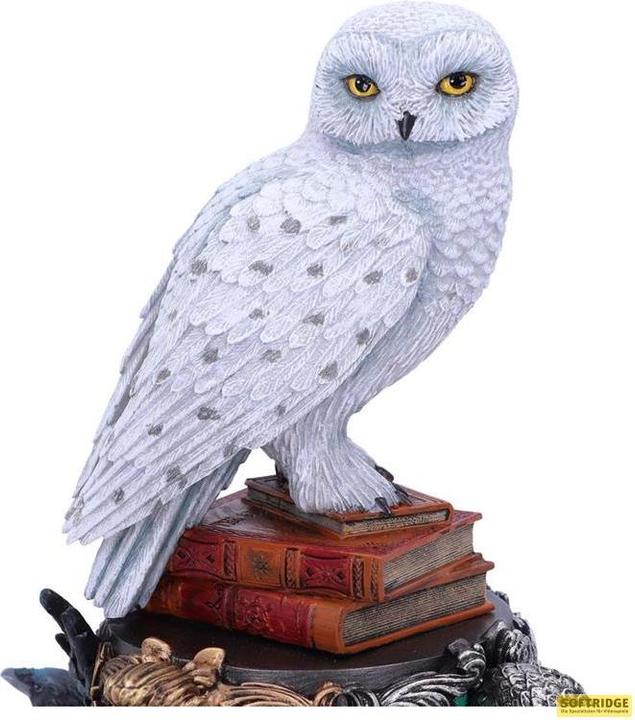 Actual product image GED ST Harry Potter Hedwig 22cm