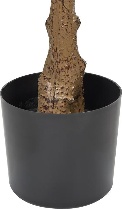Produktbild Beliani Fig Tree (162 cm)