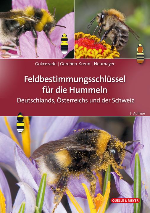 Produktbild Feldbestimmungsschlüssel für die Hummeln Deutschlands, Österreichs und der Schweiz (Deutsch, Johann, Joseph Gokcezade, Barbara-Amina Gereben-Krenn, 2023)