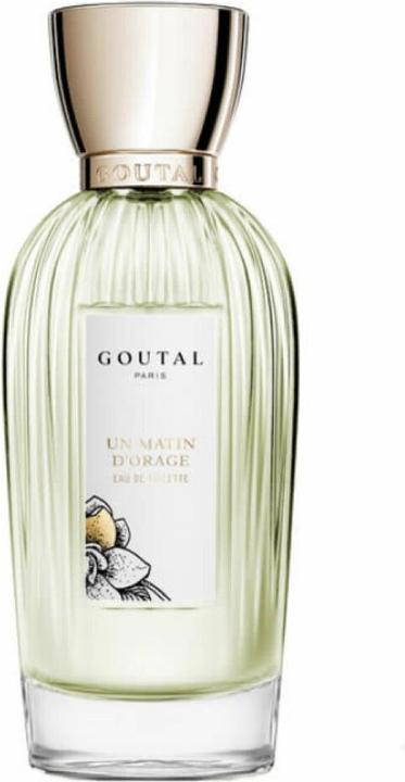 Annick Goutal Un Matin d'Orage (Eau de Toilette, 100 ml)