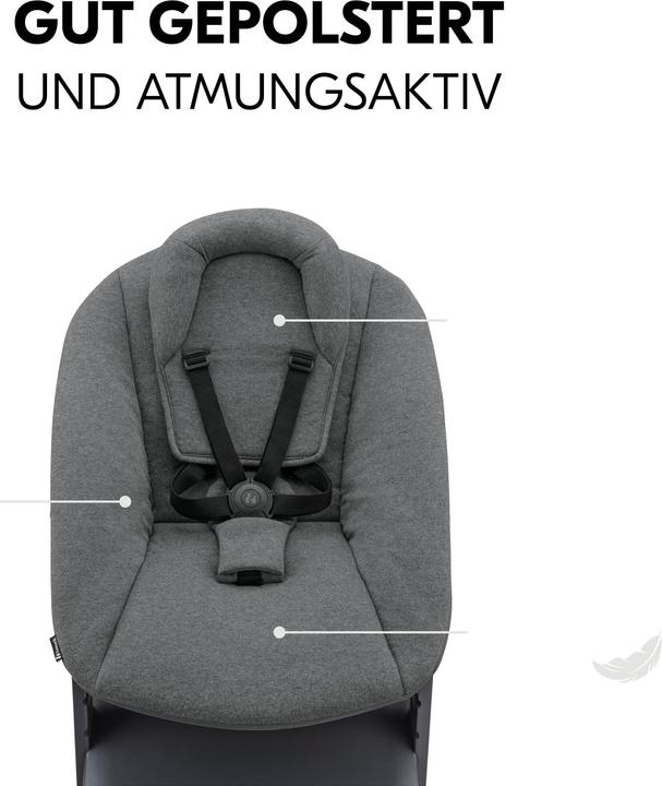 Actual product image Hauck Alpha Newborn Set Plus (Highchair)