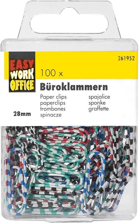 Actual product image Easy Work Paper clips (100 x)