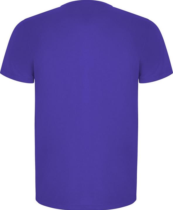 Immagine prodotto Alpinia Imola Maglietta Sportiva Maniche Corte Uomo (XL)