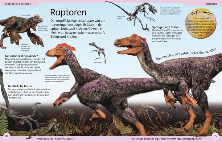 Actual product image DK Kinderlexikon. Dinosaurier (German, Caroline Bingham, 2022)