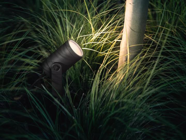 Image du produit Philips Hue Lily (640 lm, IP65)