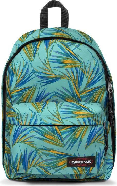 brize palm aqua