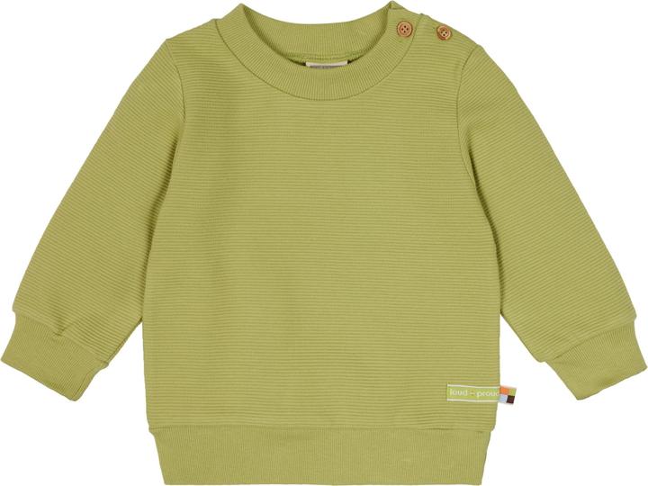 Alligator