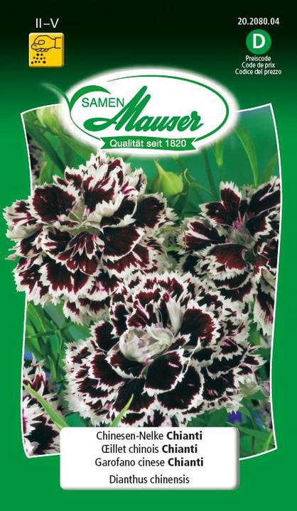 Image du produit Samen Mauser OEillets chinois Chianti (Graines de fleurs)