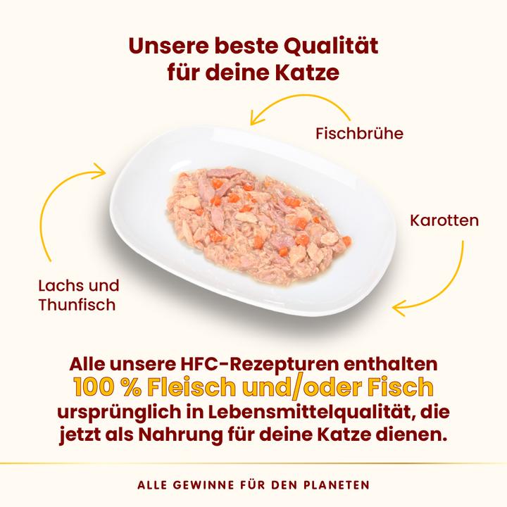 Actual product image Almo Nature HFC Complete (Adult, 70 g)