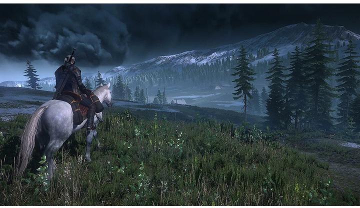 Produktbild Bandai Namco The Witcher 3: Wild Hunt (Switch, DE)