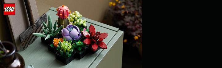 Immagine prodotto LEGO Succulente (10309, LEGO Botanical, Set LEGO rari)