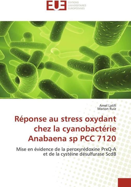 Actual product image Réponse au stress oxydant chez la cyanobactérie Anabaena sp PCC 7120 (Marion Ruiz, Amel Latifi, 2010)