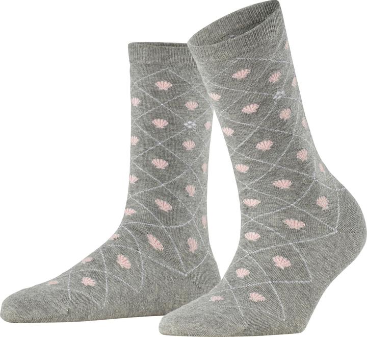 Burlington Seashell (36 - 41)
