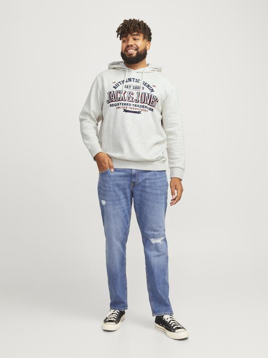 Actual product image Jack & Jones JJELOGO SWEAT HOOD 2 COL 24/25 NOOS PLS (4XL)