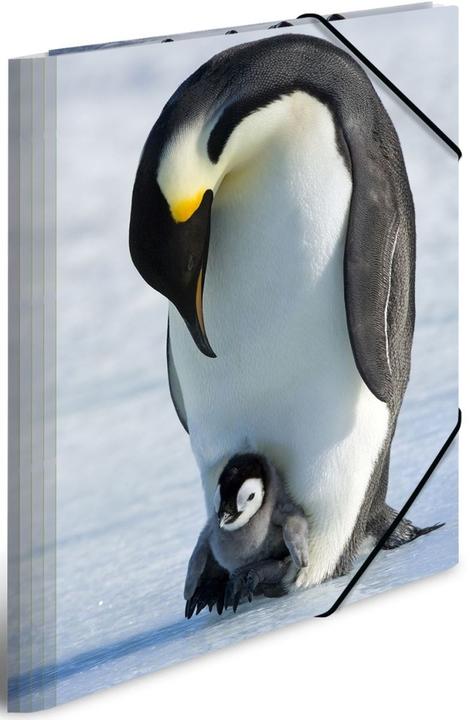 Actual product image HERMA A3 motif folder (A3, 1 x)