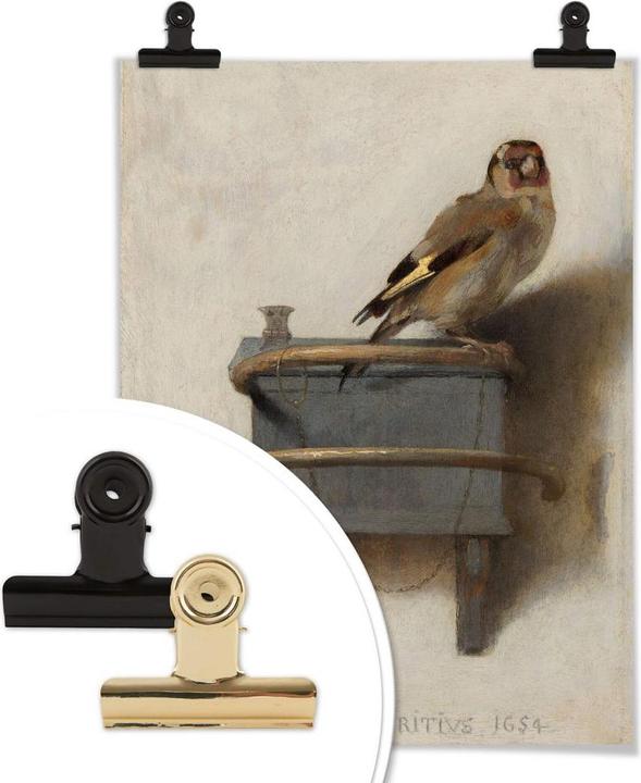 Immagine prodotto Trenddeko Il cardellino (50 x 60 cm)