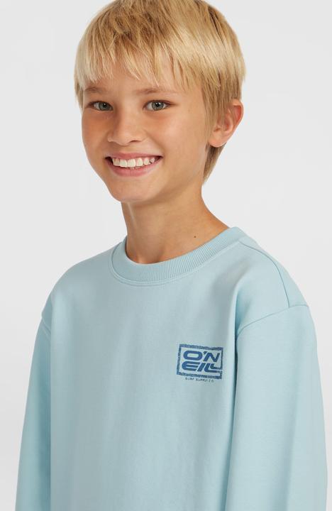 Actual product image O'Neill Logo Crew (104)
