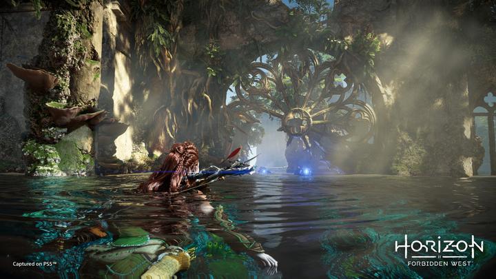 Produktbild Sony Horizon Forbidden West (PS5, EN)