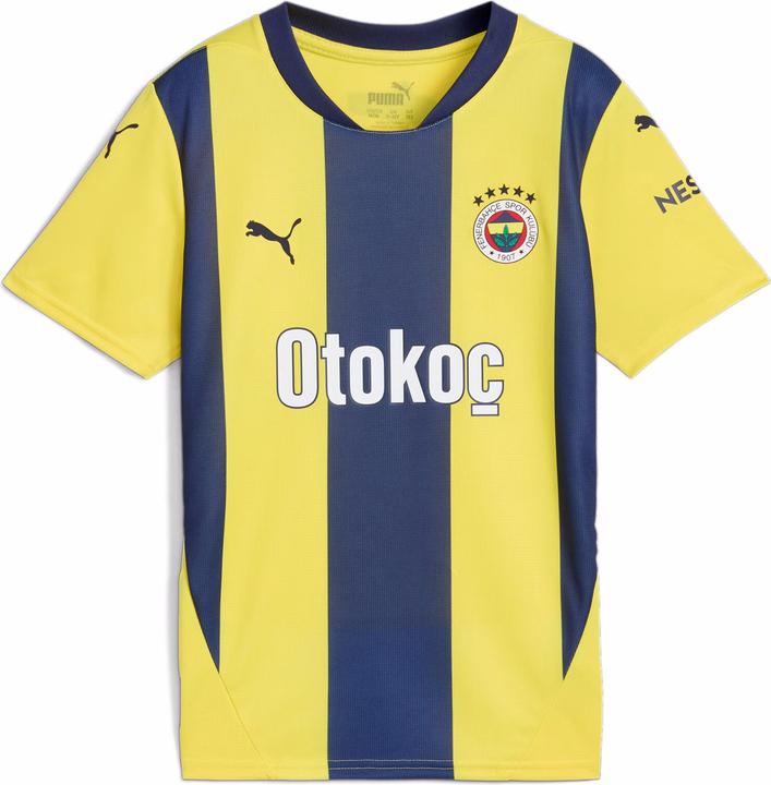 Actual product image Puma FSK Home Jersey Replica Jr (164)