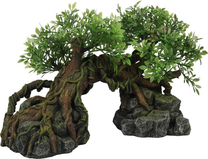 Productafbeelding EBI Terra Della Boom Jungle