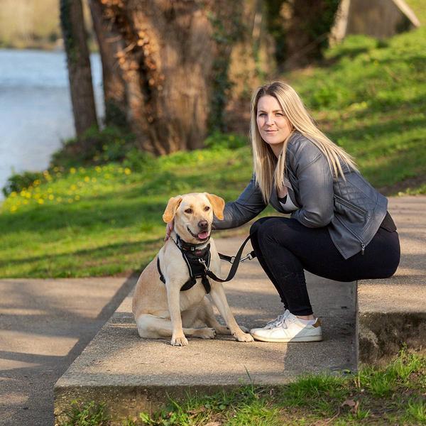 Productafbeelding Company of Animals Halti No Pull Antizug M Harness (M, Hond, Hondensport)