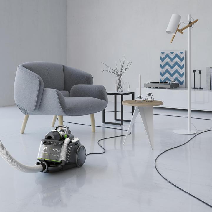 Produktbild Electrolux UltraFlex ZUFGREEN
