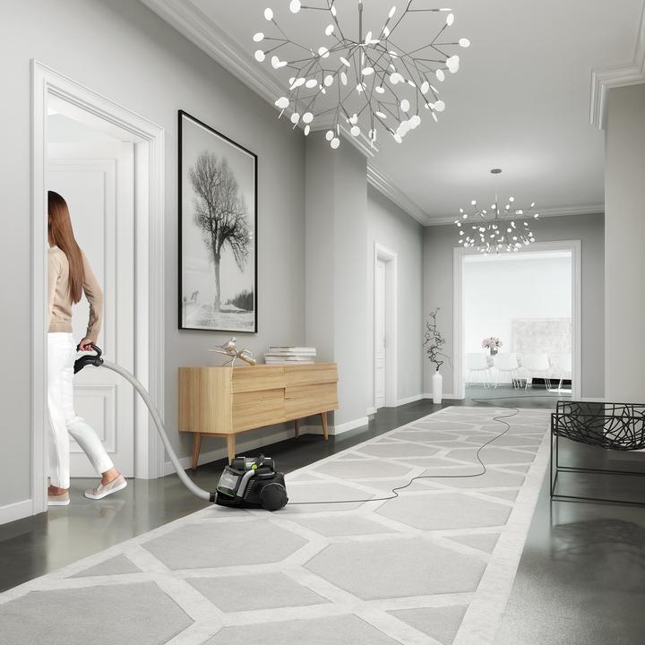 Produktbild Electrolux UltraFlex ZUFGREEN