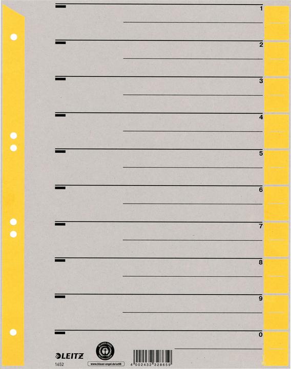 Image du produit Leitz Intercalaire, A4 extra large, carton kraft 230g/qm, jaune en carton gris avec onglets jaunes, Bla
