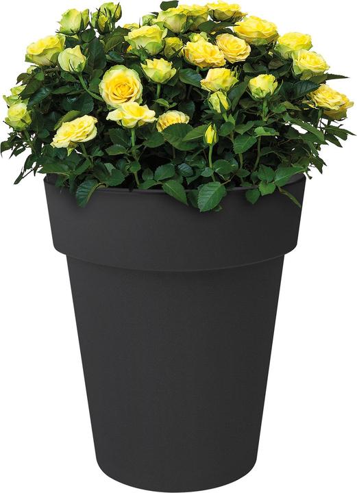 Produktbild Elho Green Basics Top Planter Hoch (34.60 cm)