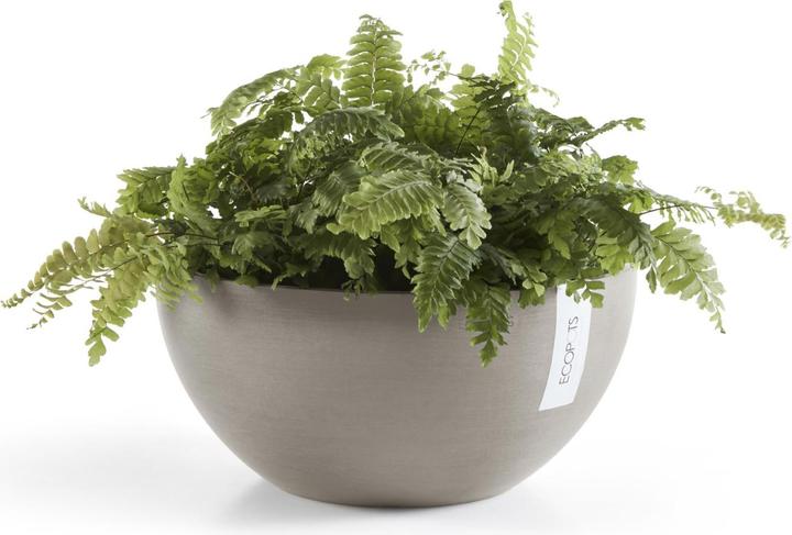 Actual product image Ecopots Brussels (30 cm)