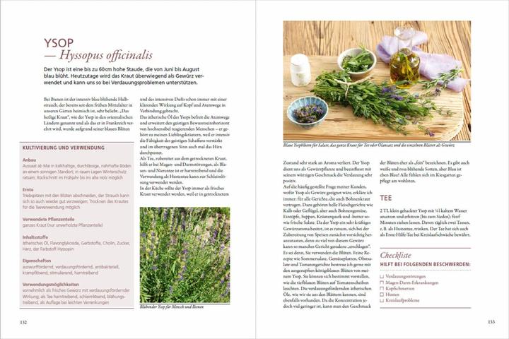 Produktbild Meine Gartenapotheke. Heilen und gesund leben mit Gemüse, Obst und Kräutern aus dem eigenen G (Deutsch, Gabriele Bickel, 2023)
