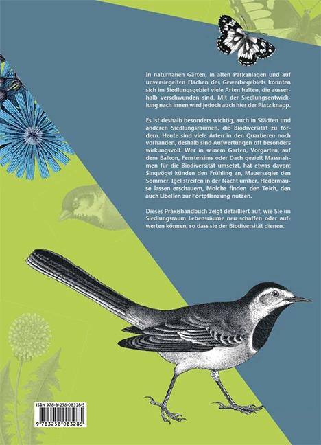 Produktbild Praxishandbuch Stadtnatur (Deutsch, Andrea Haslinger, Sabine Tschäppeler, 2024)