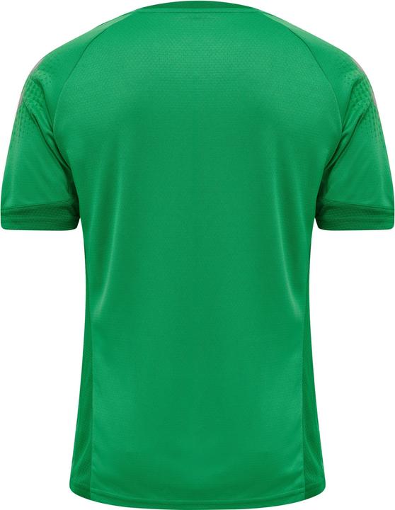 Actual product image hummel Lead S/S Poly Jersey (XL)
