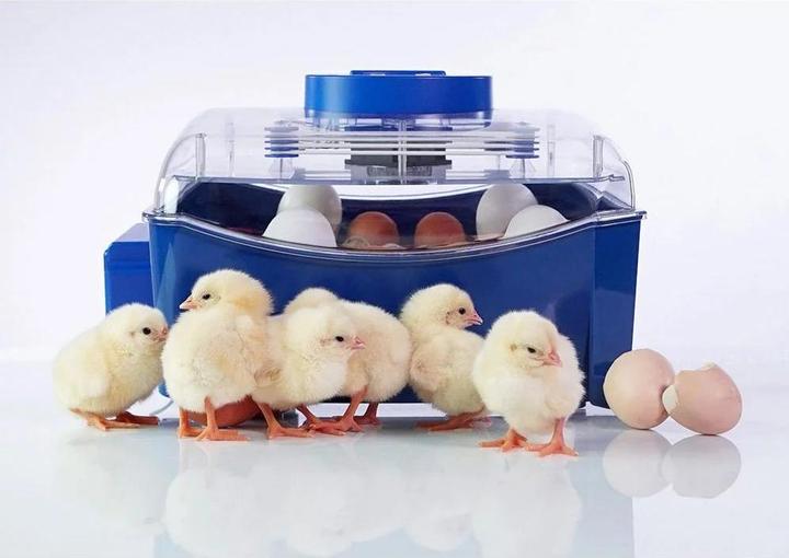 Produktbild APS Brutapparat 16 Eier Wasserspender vollautomatisch Brutmaschine Brutautomat