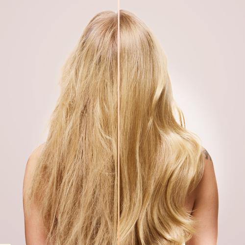 Image du produit Garnier Botanic Therapy Shampooing délicat à l'avoine 400ml - pour cheveux délicats (400 ml, Shampoing liquide)