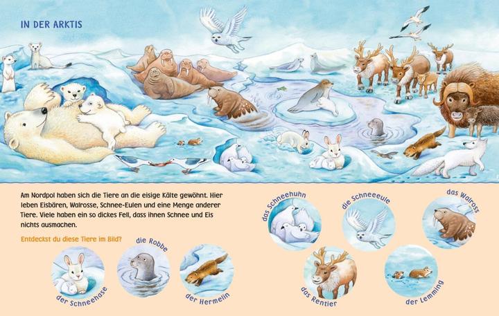 Produktbild Bilderbuch Baby Pixi HB23 (Deutsch)
