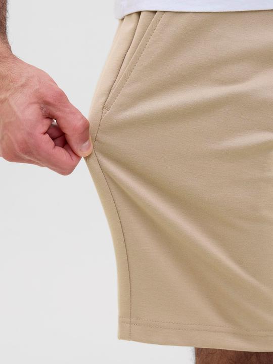 Actual product image Jack & Jones Regular Fit Slim Fit Shorts Slim Fit Shorts (L)