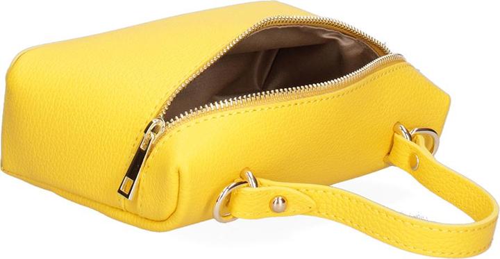 Actual product image Roberta Rossi Handbag