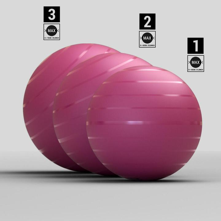 Image du produit Domyos Swiss Ball Basic (65 cm)