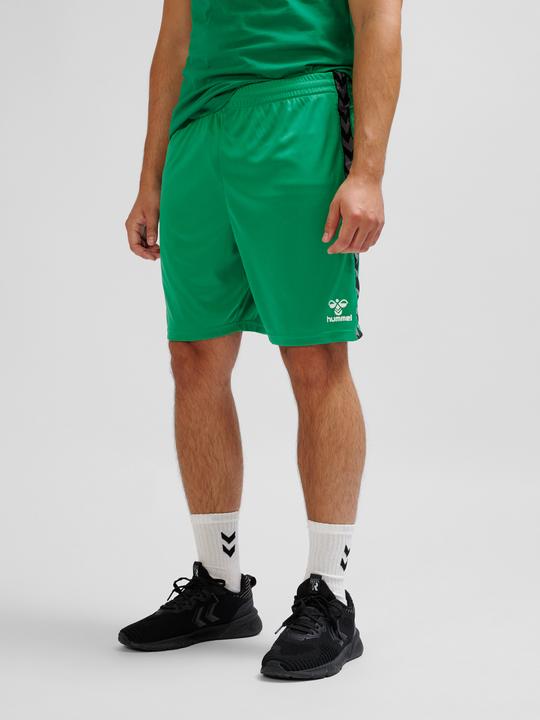 Actual product image hummel Hmlauthentic Pl Shorts (XL)
