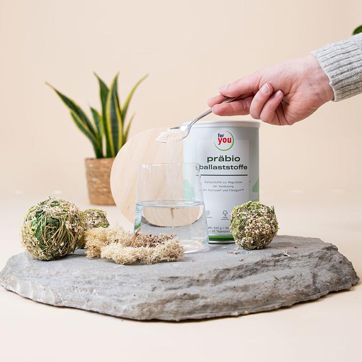 Produktbild For You präbio ballaststoffe (1 Stück, Pulver, 420 g)
