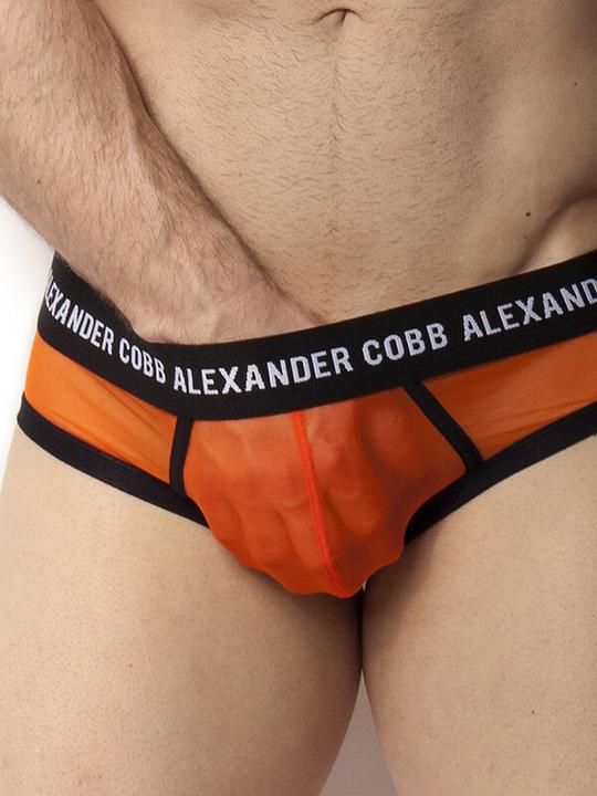 Actual product image Alexander Cobb Transparent briefs (L)